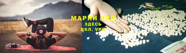 спиды Армянск