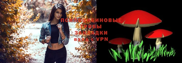 не бодяженный Арсеньев