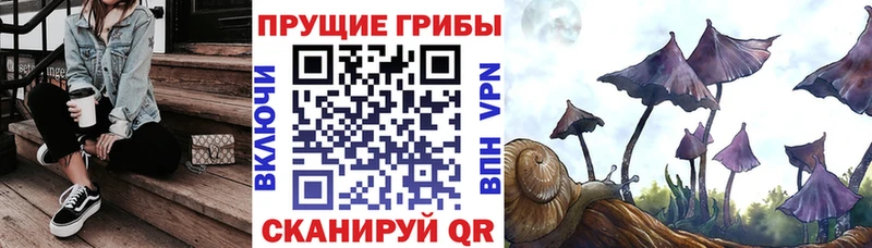 Галлюциногенные грибы мухоморы  цена   Нурлат 